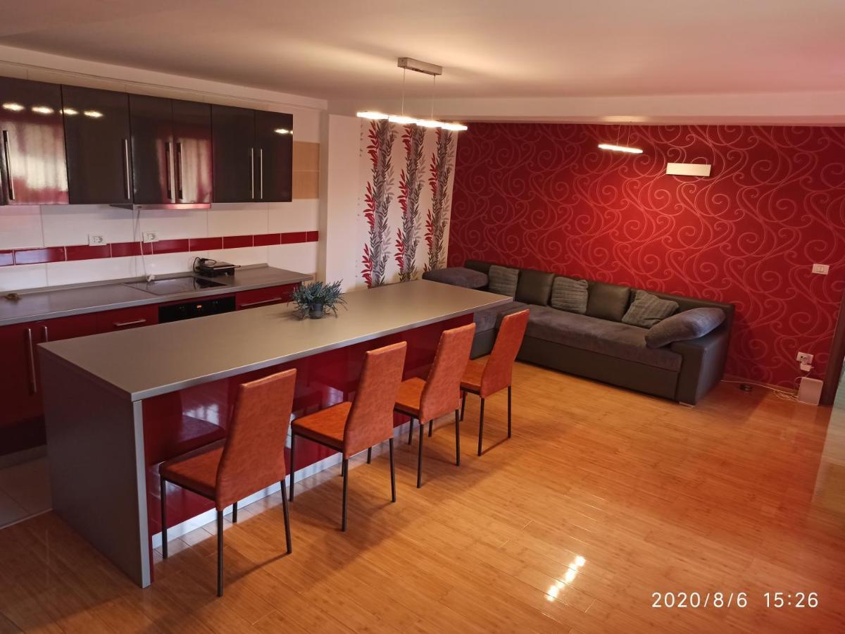 蒂米什瓦拉 Casa Tiky酒店 外观 照片